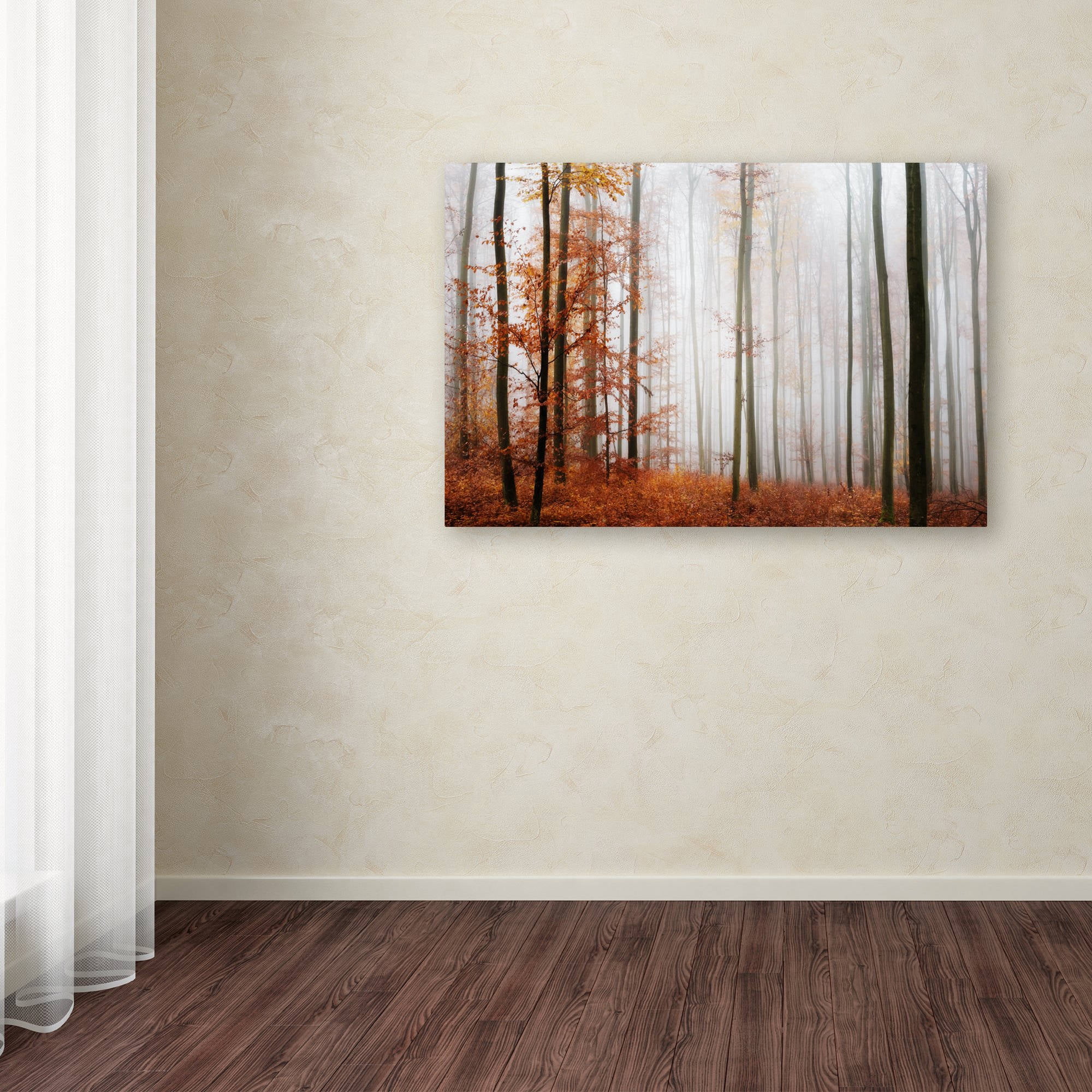 Trademark Fine Art "Forest Corner" Canvas Art by Philippe Sainte-Laudy