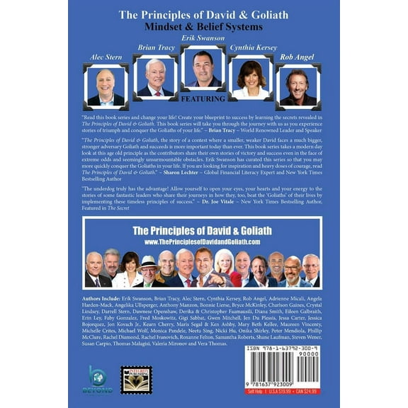 The Principles of David and Goliath Volume 1: Mindset & Belief Systems, (Paperback)
