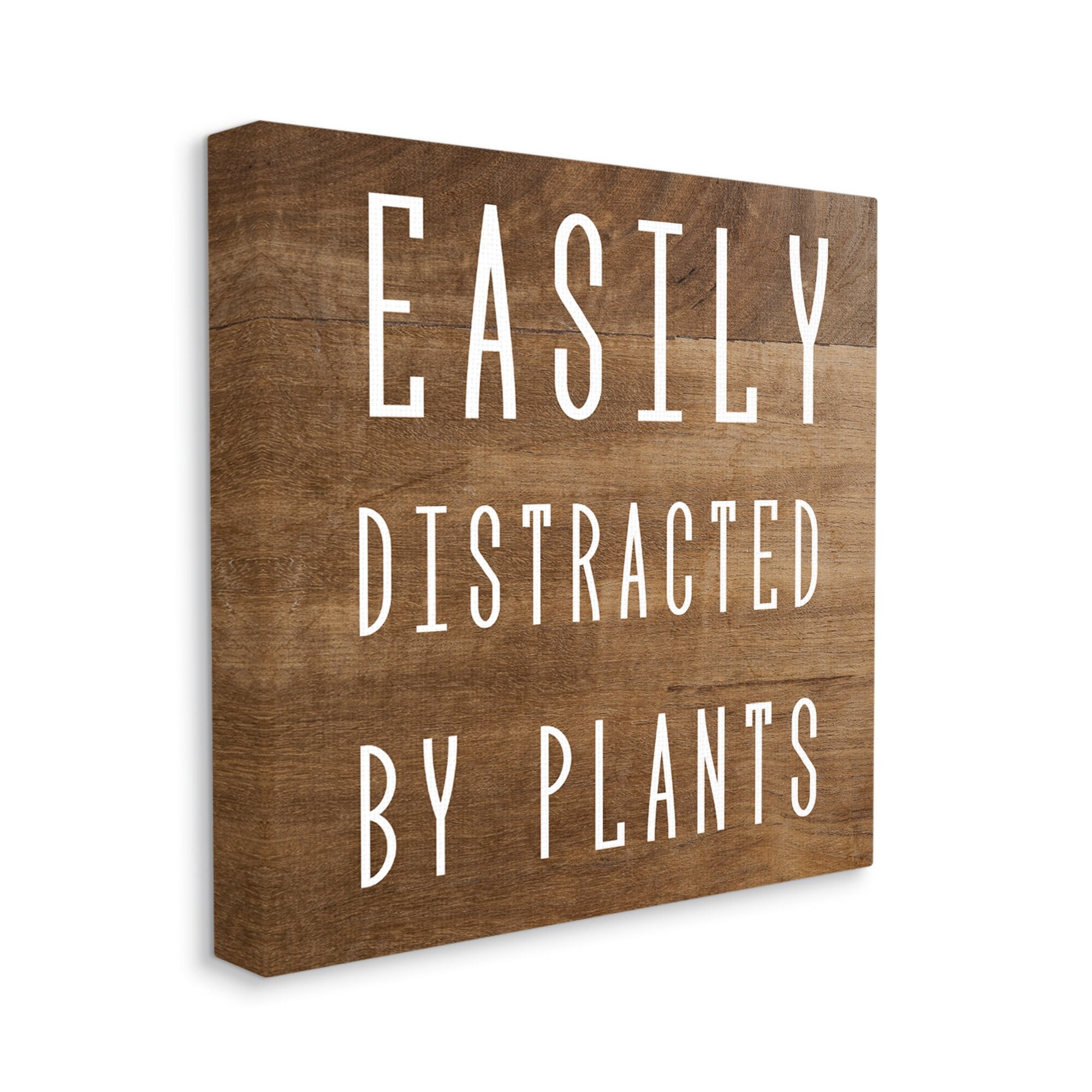 Stupell Industries Easily Distracted By Plants Rustic Plank Patterned Text Graphic Art Gallery Wrapped Canvas Print Wall Art, Design by Daphne Polselli