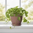 thumbnail image 4 of Wliror 6 Inch Rust Red Ceramic Plant Pot with Drainage – Terracotta‑Like Planter for Indoor Plants, Succulents, Cactus, 4 of 7
