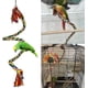 thumbnail image 2 of 1,5 M loro colorido escalada cuerda columpio juguetes soporte para loros con campana y Clip colgante para loros, periquitos, guacamayos, periquitos,, 2 of 5
