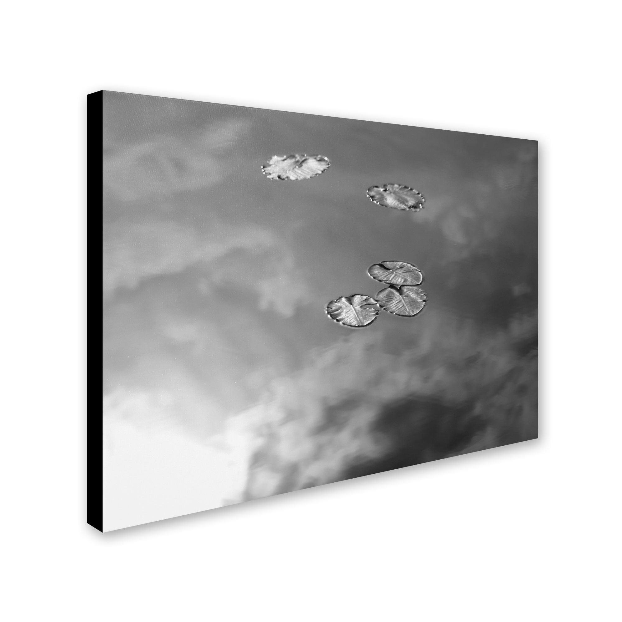 Trademark Fine Art "Lily Pads & Sky" Canvas Wall Art by Patty Tuggle