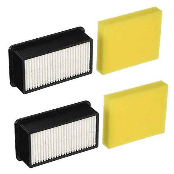Colorfullife 2 2 Pack Style 1008 Filter for Bissell CleanView Upright Vacuums 9595A, 1819, 1822, 1825, 1831, 1330, 1332. 2 Pre-Motor Foam Filter and 2 Post-Motor Filter