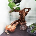thumbnail image 4 of Hermit Crab Climbing Toy Resin Tree Trunk Ornament Aquarium Decoration for Reptile Lizard Newt Hermit Crab, 4 of 8