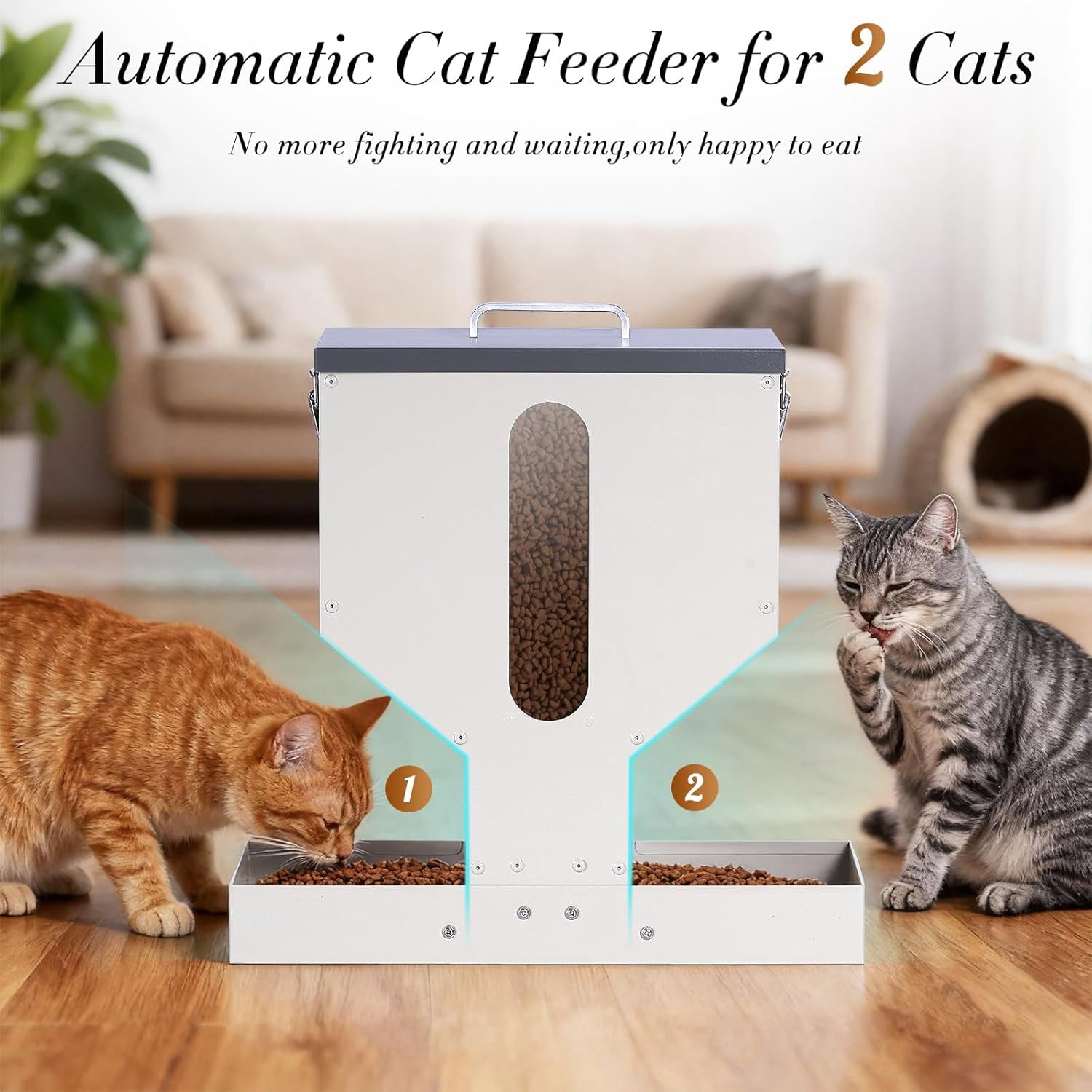 Automatic  Feeder for 2 Cats, 12L  Dual Pet Food Dispenser with Anti-Jam Galvanized Steel Station Indoor Outdoor
