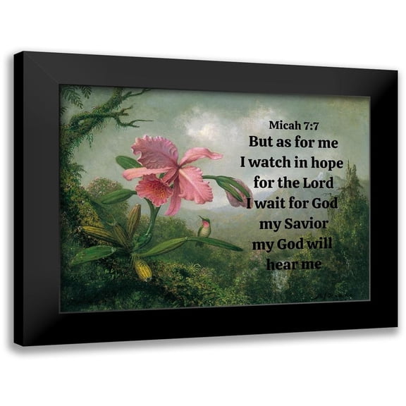 ArtsyQuotes 14x11 Black Modern Framed Museum Art Print Titled - Bible Verse Quote Micah 7:7, Martin Johnson Heade - Orchid and Hummingbird