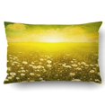 thumbnail image 1 of BSDHOME Daisy Field At Sunset In Grunge And Retro Style Pillowcase Pillow Cushion Cover 20x30 inch, 1 of 1