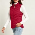 thumbnail image 5 of hoksml Women Quilted Puffer Vest Stand Collar Zip Up Sleeveless Pockets Gilet for Fall Winter Daily Outdoor Work Comfort, 5 of 9