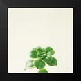 thumbnail image 2 of Bradley, Felicity 12x12 Black Modern Framed Museum Art Print Titled - Succulent Simplicity VII Neutral, 2 of 5