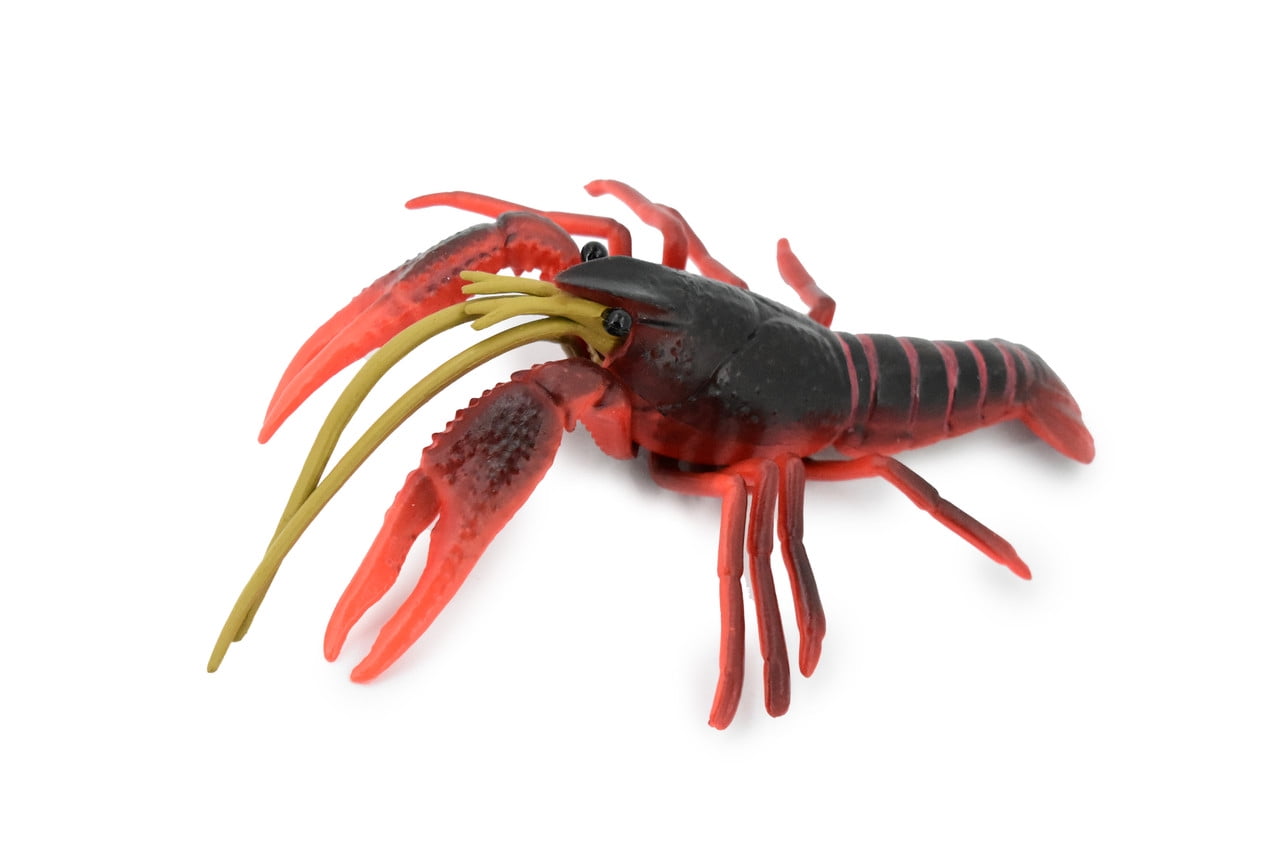 Crawfish, Crayfish, Museum Quality, Hand Painted, Rubber Crustaceans ...