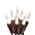 thumbnail image 1 of Living Accents 9394586 49.6 in. Summer LED Mini Light Set  Warm White - 150 Lights, 1 of 1