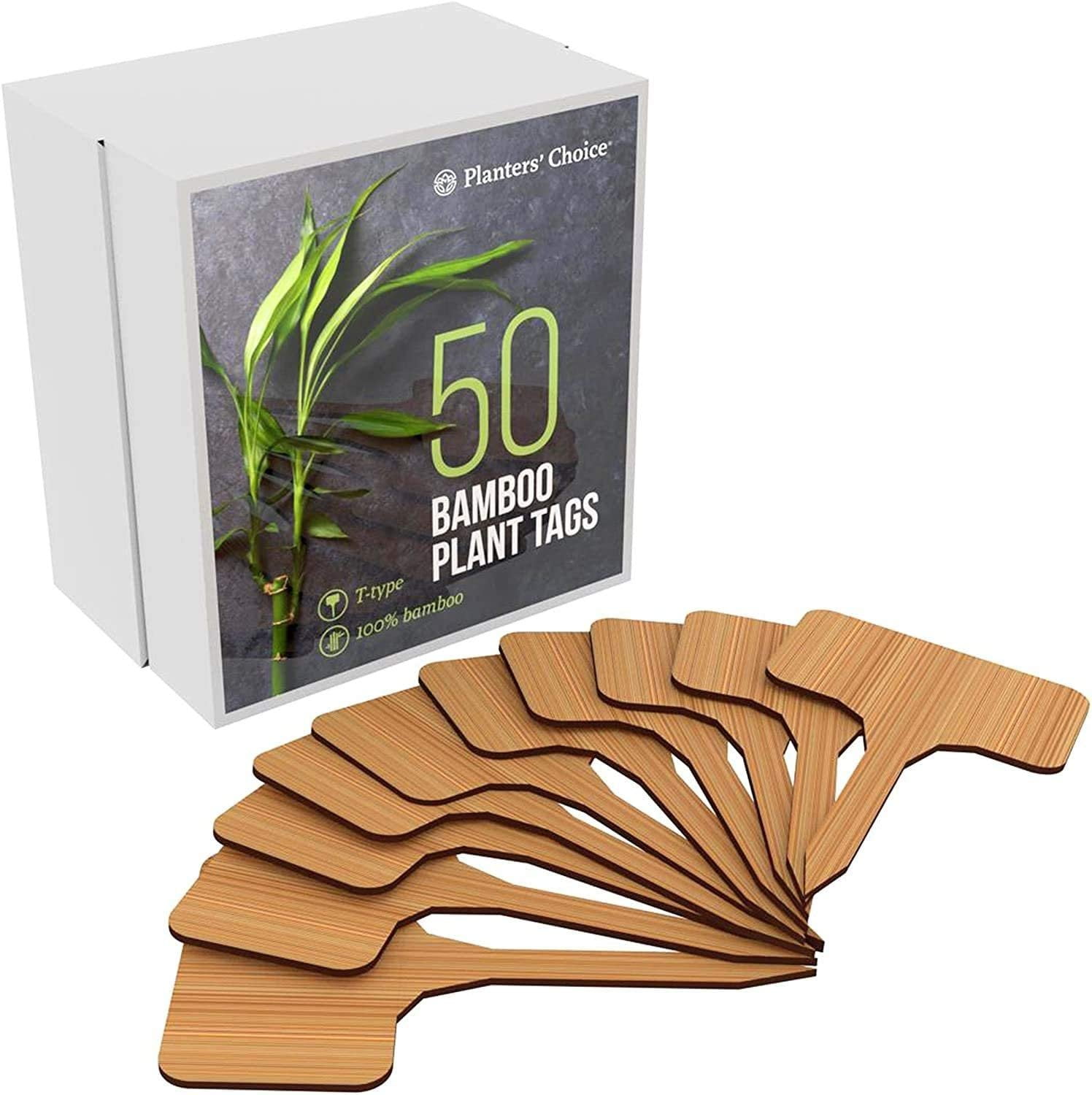 20 Bamboo Plant Labels in Gift Box T Type   Wooden Plant Tags   Wood  Cheese Markers