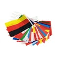 thumbnail image 3 of 24 team flags in 2024, 3 of 8