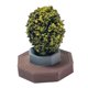 thumbnail image 4 of Modelo de Terraza Yotijar 1:64 Escenario de Diseño para mesa de arena Adorno de escritorio, 4 of 9
