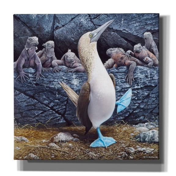 Epic Graffiti 'Blue Footed Boobies' by Harro Maass, Canvas Wall Art, 18"x18"