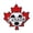 D, variant on Canada Soccer Shield Shaped Enamel Pin Badge Football Emblem Brooch for Event Souvenir Collectible Decoration