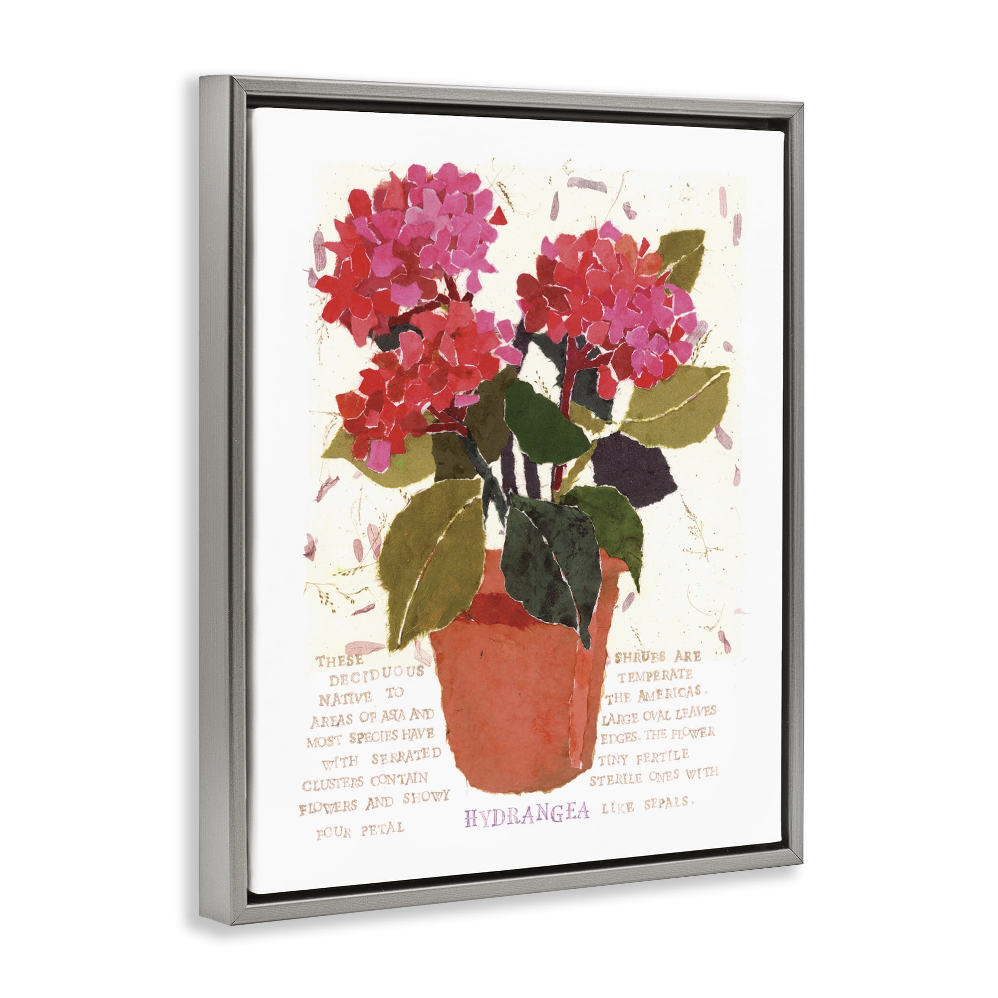 Stupell Industries Bold Red Hydrangea Botanical & Floral Painting Gray Floater Framed Art Print Wall Art, 25 x 31