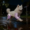 thumbnail image 7 of WRTFVZA Dog Sweaters Winter,Dog Christmas Clothes,Dog Birthday Outfit Girl Dog Sweater Warm Soft Pet Outfit Apparel, 7 of 7