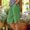 *Green^, variant on Binmer Women’s Elastic High Waist Split Hem Bermuda Shorts,Casual Loose Fit Knee Length Shorts with Pockets Army Green~,Women's Plus L