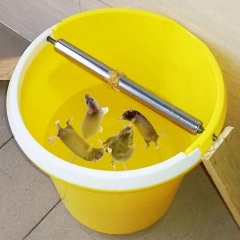 Reusable Mouse Trap Rat Trap Bucket Rolling Roller Live Catch Release with  Ramp