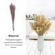 thumbnail image 5 of Ramo Seco Advancent Flores Secas Naturales 15 Piezas, 5 of 6