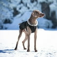 thumbnail image 4 of UOSIA Dog Winter Coat, Waterproof Fleece Lined Jacket Windproof Dog Puffer Coat, 4 of 7