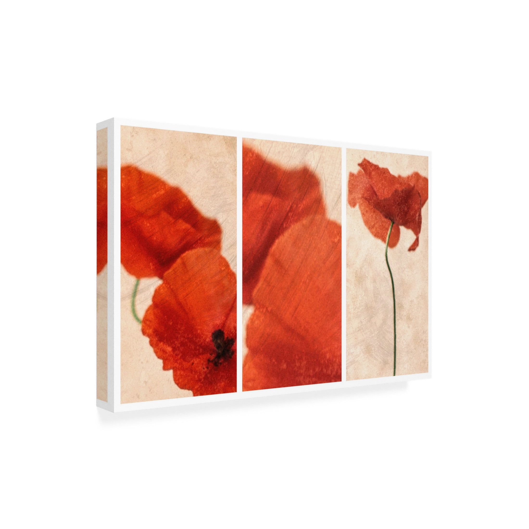 Canvas Wall Art - Nel Talen 'Three Red' Wall Art for Living Room, Bedroom, or Office Décor by Trademark Fine Art - 47 x 30 Inches