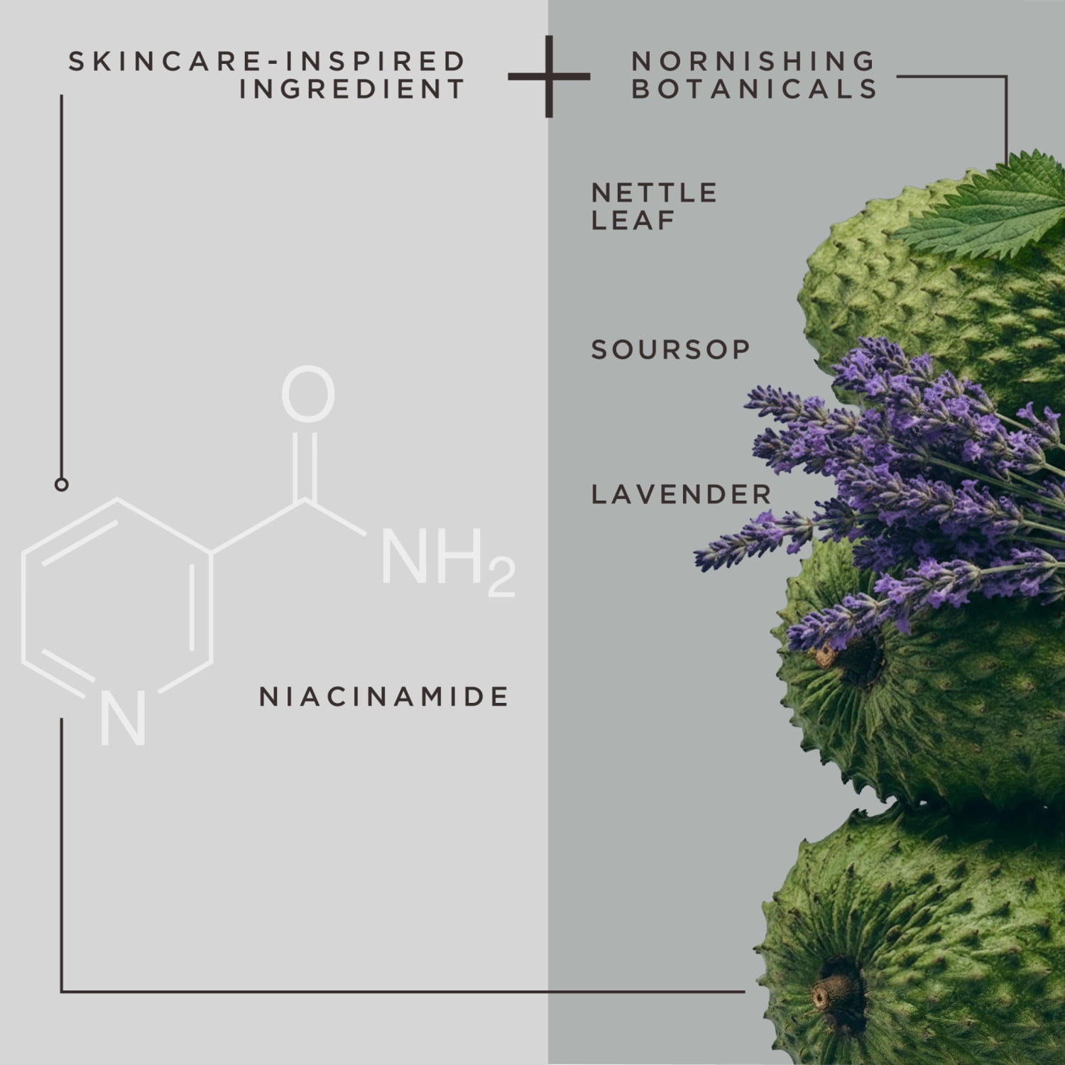 Carol's Daughter Lisa's Kitchen Scalp Balancing Serum 2 fl oz