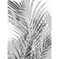 thumbnail image 2 of Miller, Melonie 25x32 Black Ornate Wood Framed with Double Matting Museum Art Print Titled - Palm Shadows III, 2 of 4