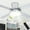 Chrome, variant on Chords Attic 44" Flush Mount Ceiling Fan with LED Light and Remote Control, 6-Speed DC Motor, 3 Color Temperatures, Reversible for Bedroom, Living Room and Dining Room