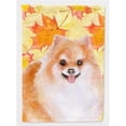 thumbnail image 1 of Carolines Treasures BB9977GF Drapeau d'Automne No.2 - Taille du Jardin, 1 of 3