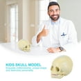 thumbnail image 4 of 1pc Child Head Bone Model Realistic Child Skull Model Useful Medical Supplies, 4 of 6