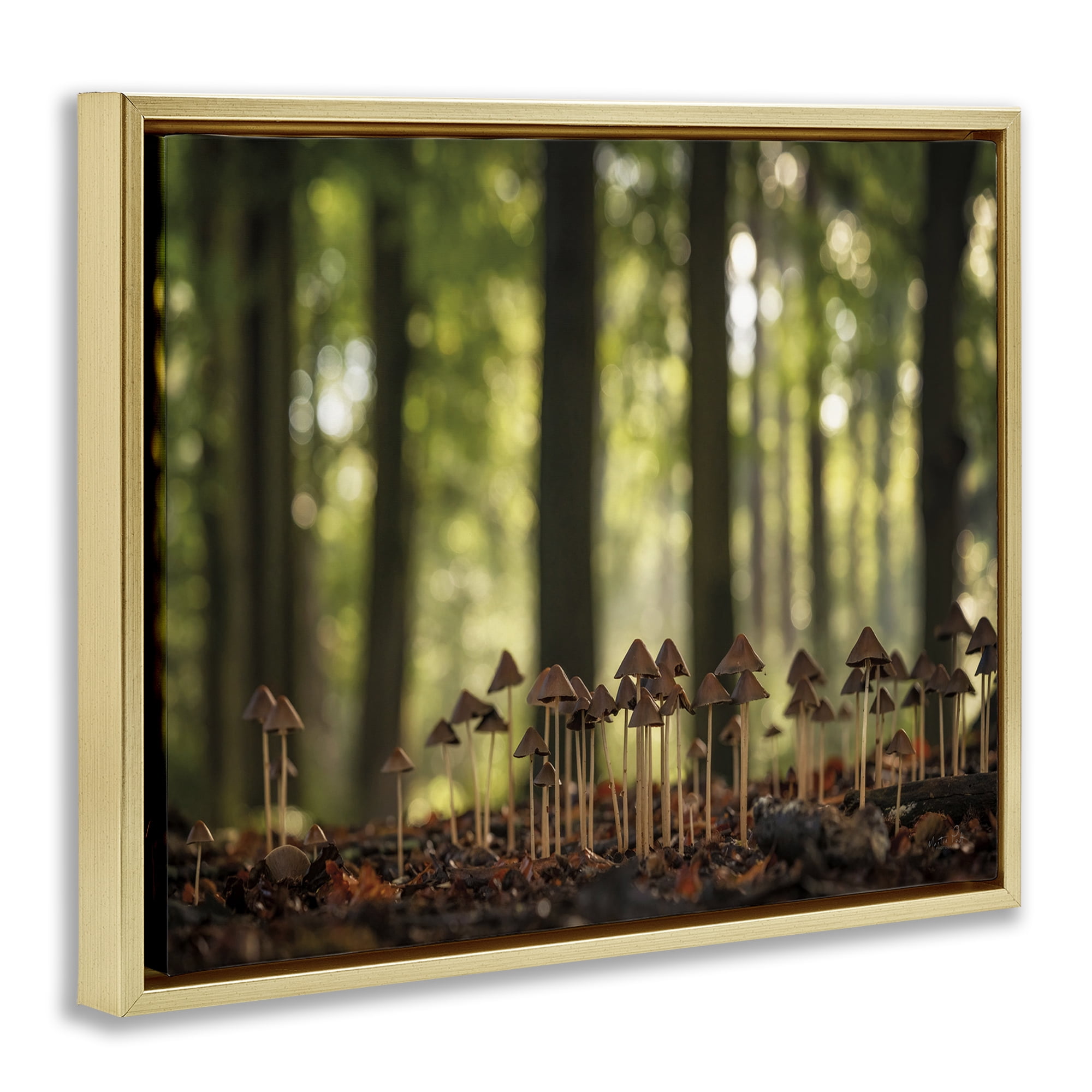 Stupell Industries Mushroom Sprouts in Forest Botanical & Floral Photography Gold Floater Framed Art Print Wall Art, 21 x 17