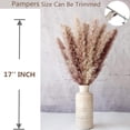 thumbnail image 5 of ZHUYING 110 PCS Dried Pampas Grass Bouquet, Boho Table Decor, Bunny Tails Dried Flowers, Brown Pompas, White Pampas Grass for Wedding, Home, Rustic Party, Baby Shower Decorations, 5 of 7
