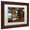 thumbnail image 3 of Trademark Fine Art "Hawaii 5" Canvas Art by Jason Shaffer, White Matte, Wood Frame, 3 of 4