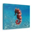 thumbnail image 2 of Majestic Seahorse Art Majestic Seahorse Print Animal Wall Art Wildlife Canvas Prints Wall Art Ready to Hang Unframed, 2 of 18