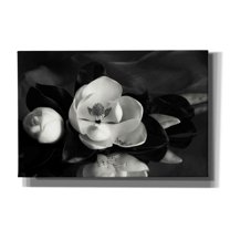 Epic Graffiti 'Magnolia in Bloom' by Debra Van Swearingen, Canvas Wall Art, 60"x40"