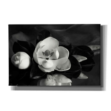 Epic Graffiti 'Magnolia in Bloom' by Debra Van Swearingen, Canvas Wall Art, 60"x40"
