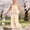 Beige, variant on ITSAME Toddler Girls Summer Outfit Set, Ruffle Smocked Camisole and Pants Fashion Casual Clothes 2-Piece Pink Size 6