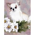 thumbnail image 1 of Drapeau de Jardin Fleurs Blanches Chihuahua, 1 of 1