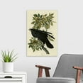 thumbnail image 3 of Great Big Canvas "Raven"  by John James Audubon Black Dark Forest Green   Wrapped Canvas Print Wall Artwork, 3 of 7