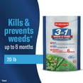 thumbnail image 2 of BioAdvanced 3-In-1 Weed and Feed for Southern Lawns, Granules, 20 lb, 2 of 7