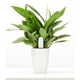 thumbnail image 5 of Toystoory Medidor inteligente de humedad del suelo, medidor de Control de aplicación, probador de casa verde para jardín de casa, planta de flores, Jardín y Patio Toystoory HA076422-01, 5 of 6