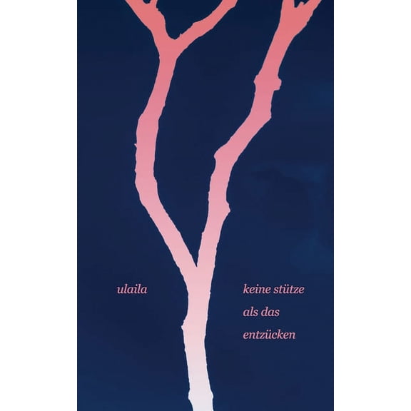 keine stütze als das entzücken (Paperback)