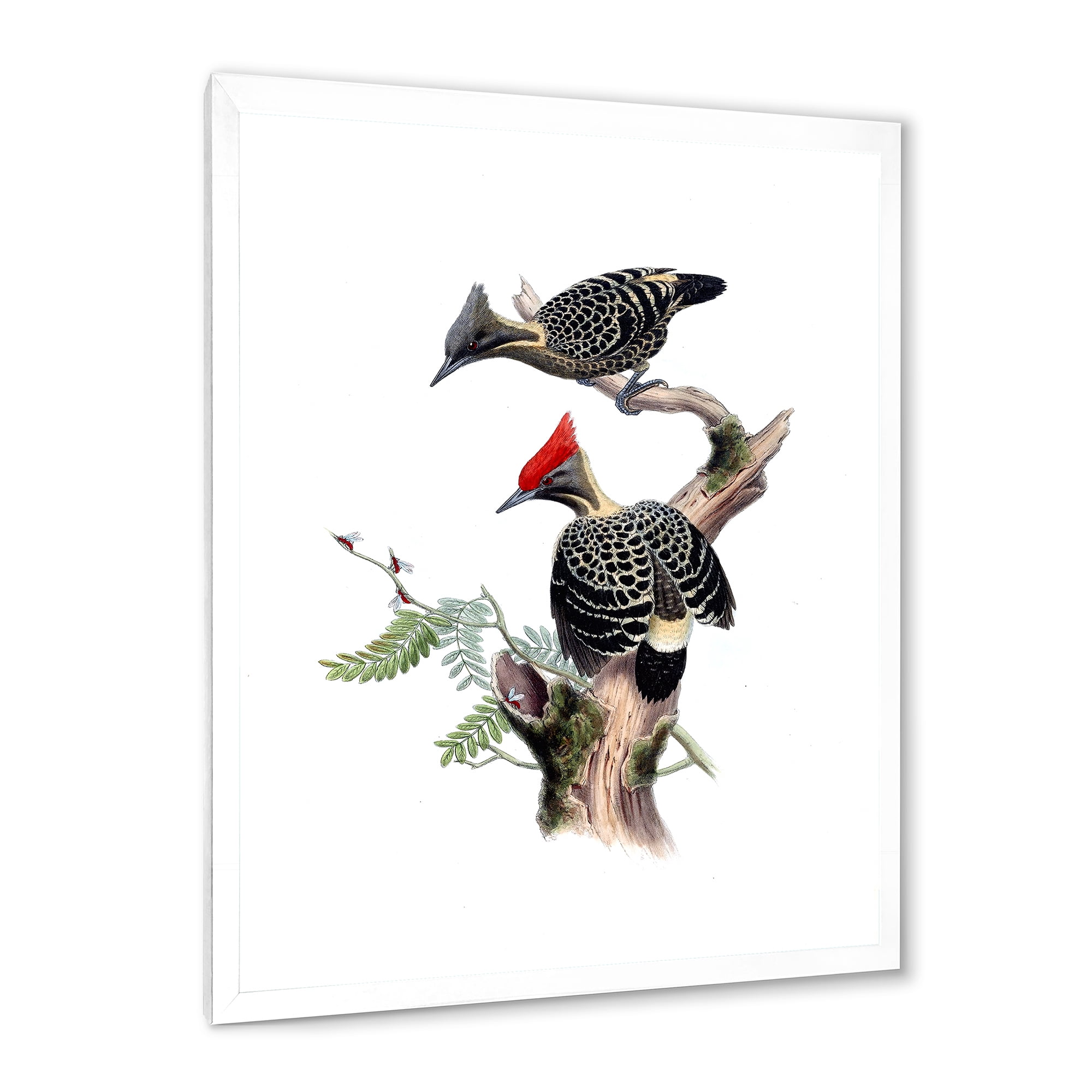 Designart 'Ancient Birds In The Wild VI' Traditional Framed Art Print