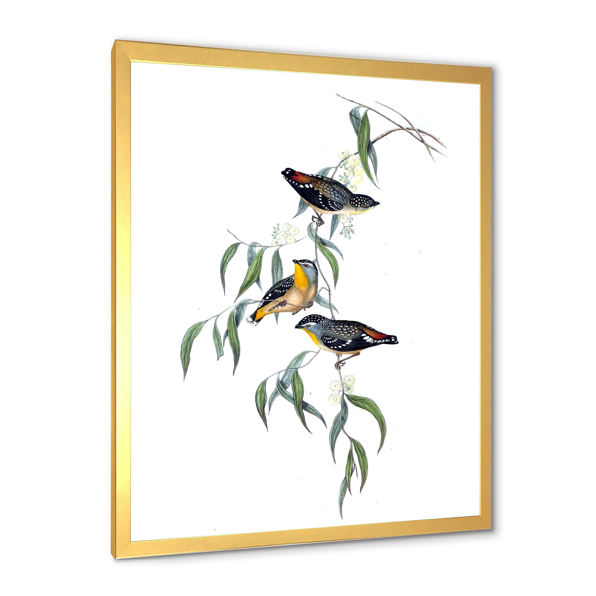 Designart 'Ancient Bird Life III' Traditional Framed Art Print