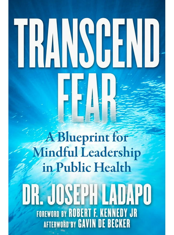 Transcend Fear : A Blueprint for Mindful Leadership in Public Health (Hardcover)