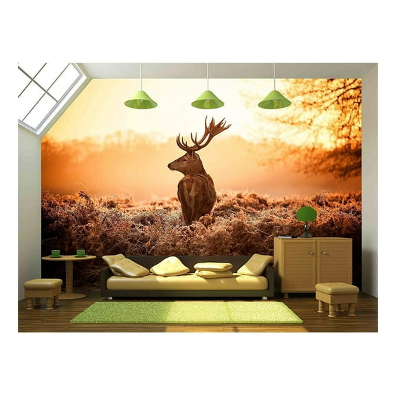wall26 - Red Deer in Morning Sun - Removable Wall Mural | Self-Adhesive Large Wallpaper - 100x144 inches
