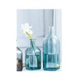 thumbnail image 4 of Transparent Creatives Hydroponic Glass Bottle Table Home Crafts Ornaments Flower Device, 4 of 5