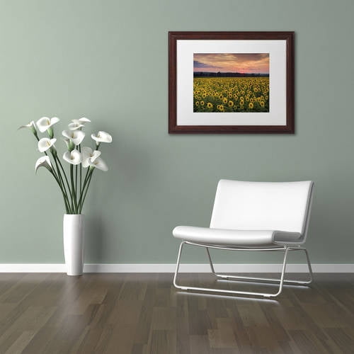 Trademark Fine Art "Sunflower Taps" Canvas Art by Michael Blanchette Photography White Matte, Wood Frame